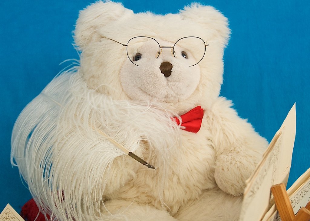 Bear reading book
