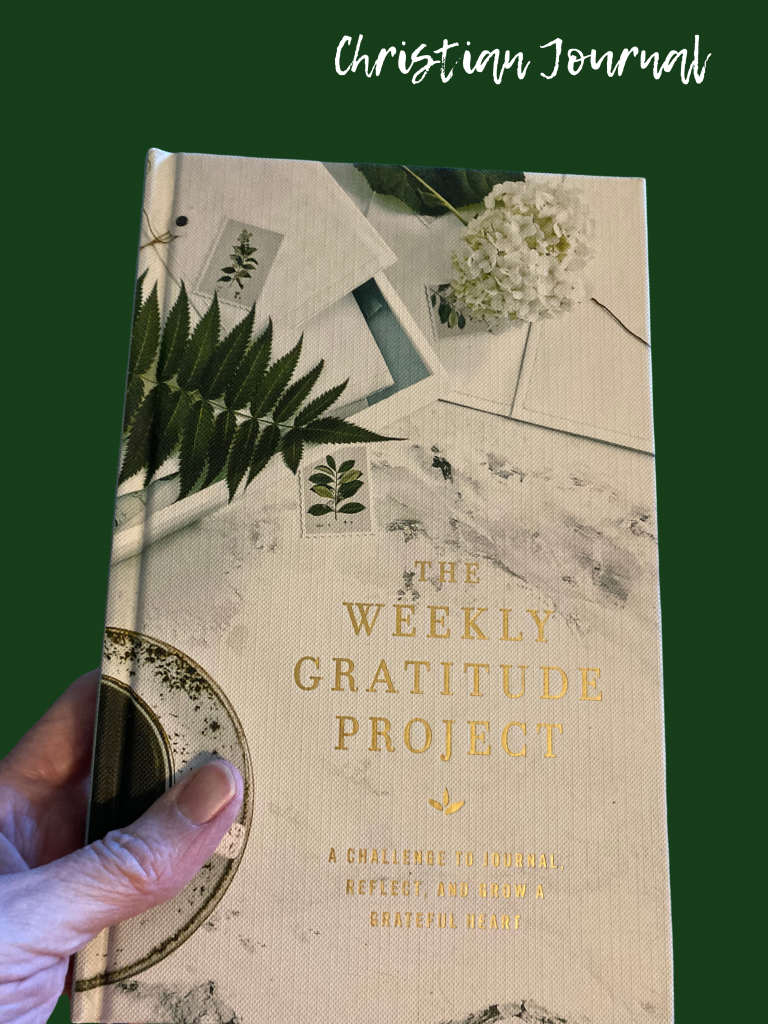 Cover of Journal